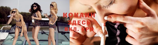 a pvp Алзамай