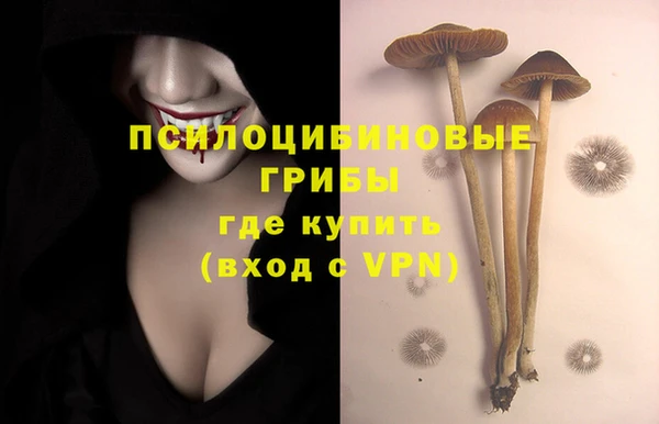 стафф Абинск